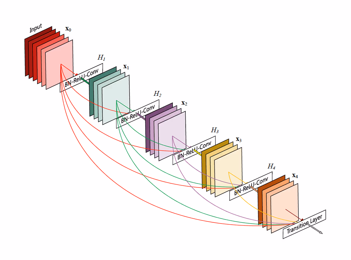 The DenseNet architecture, connects each layer directly with all subsequent layers (of the same size).