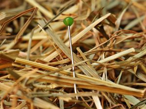 needle-in-a-haystack-1752846