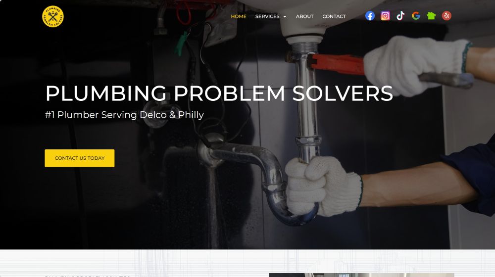 Hero section of the Plumbing Problem Solvers website.