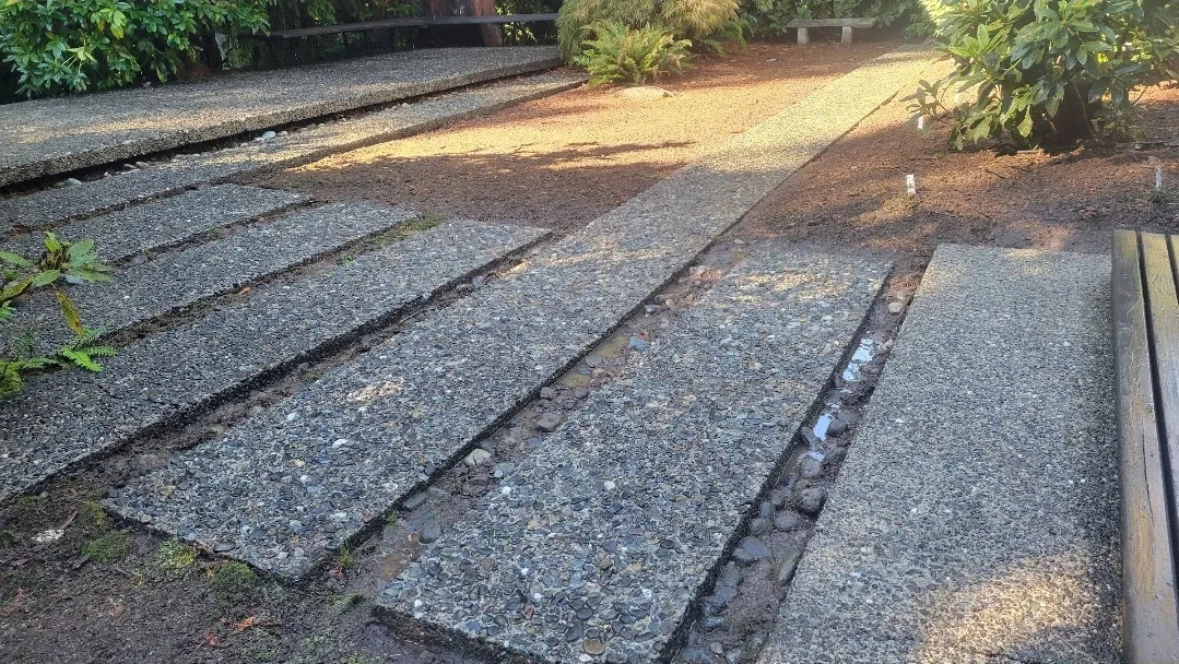 Concrete with no moss after pressure washing.