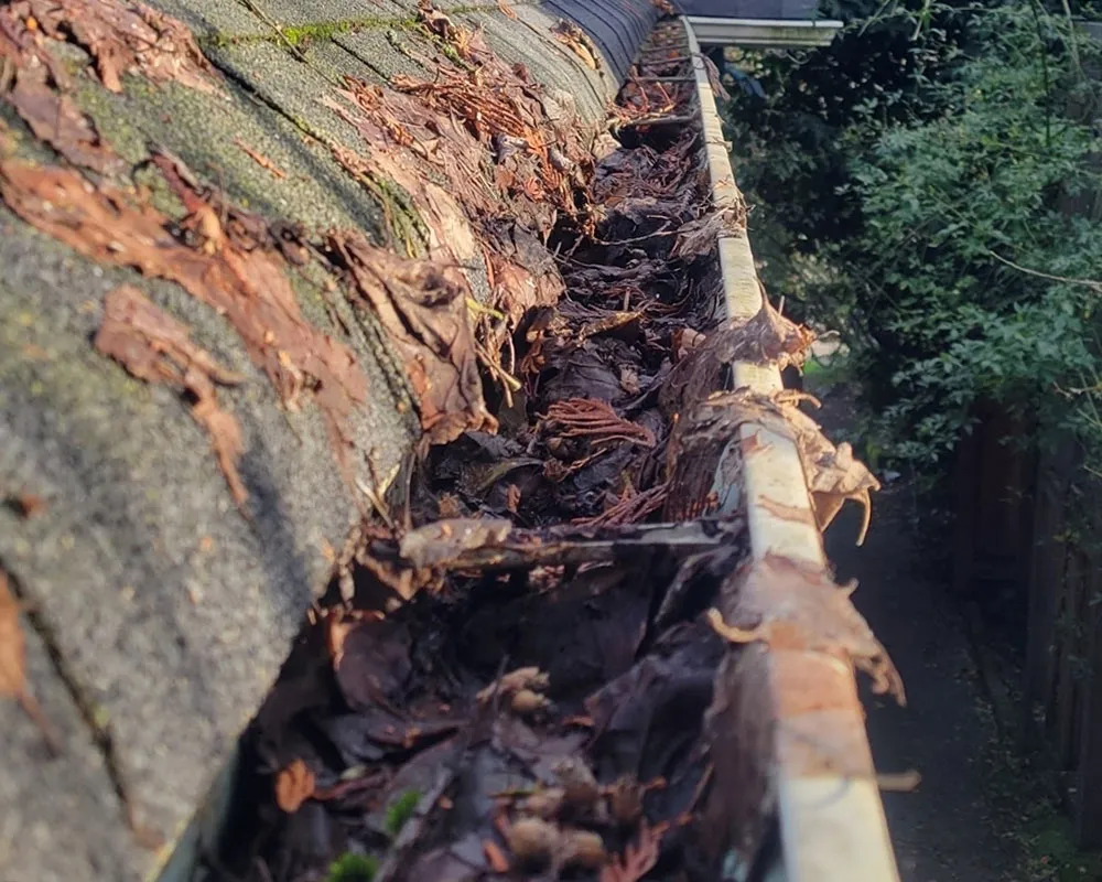 Gutters filled with leaves before gutter cleaning.