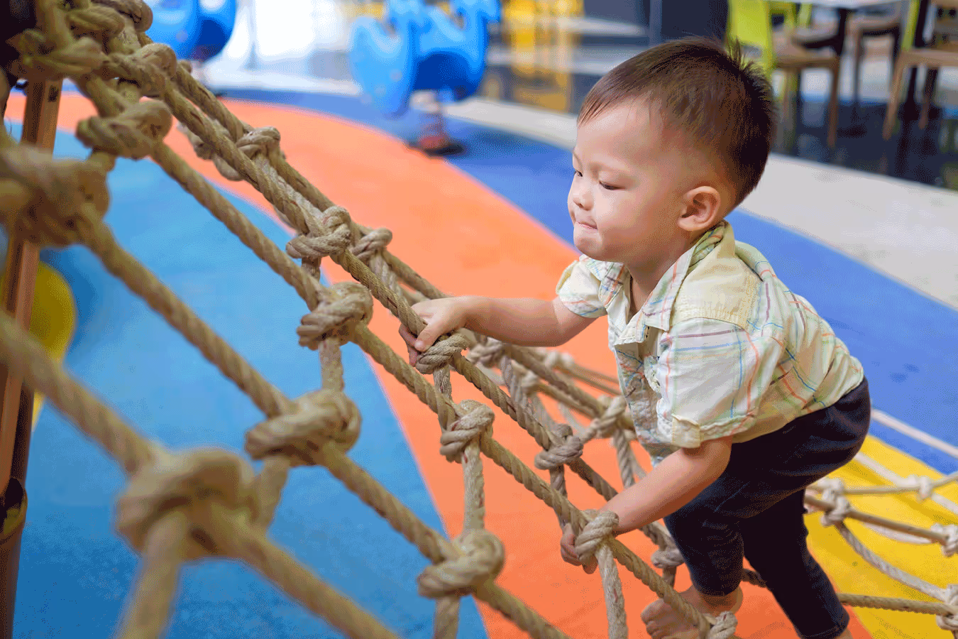 A young boy climbs a playground rope ladder, showcasing his gross motor skills and climbing strength.
