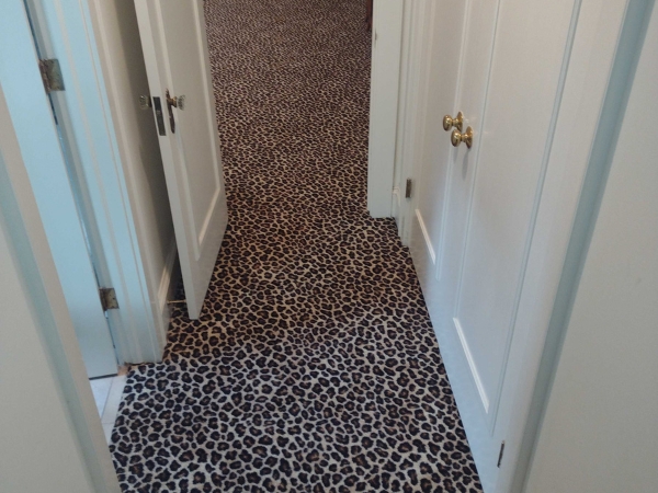 Cheetah print carpet installed wall-to-wall in a hallway, bringing a playful and exotic touch to the space.