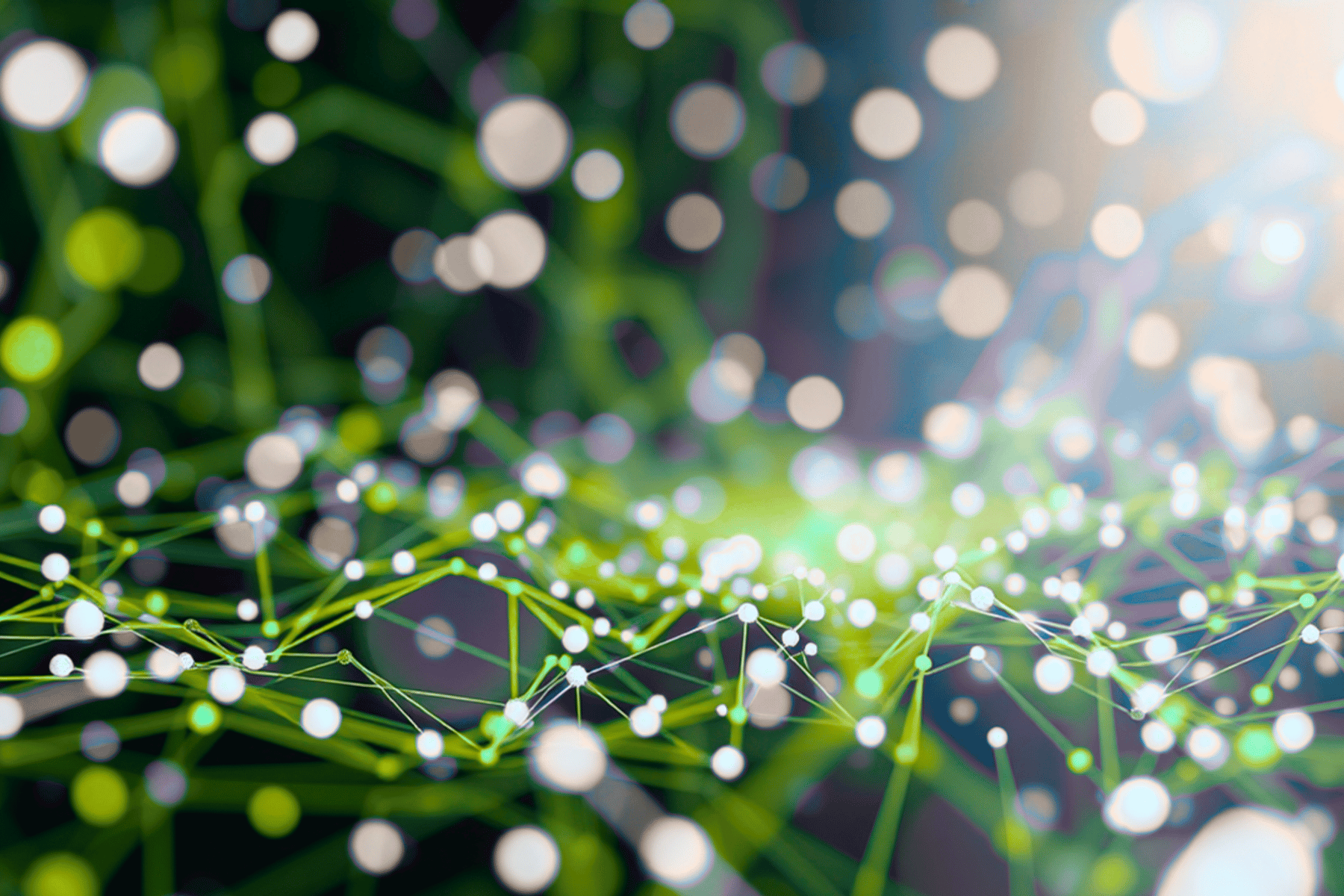 Trained in Streamlining