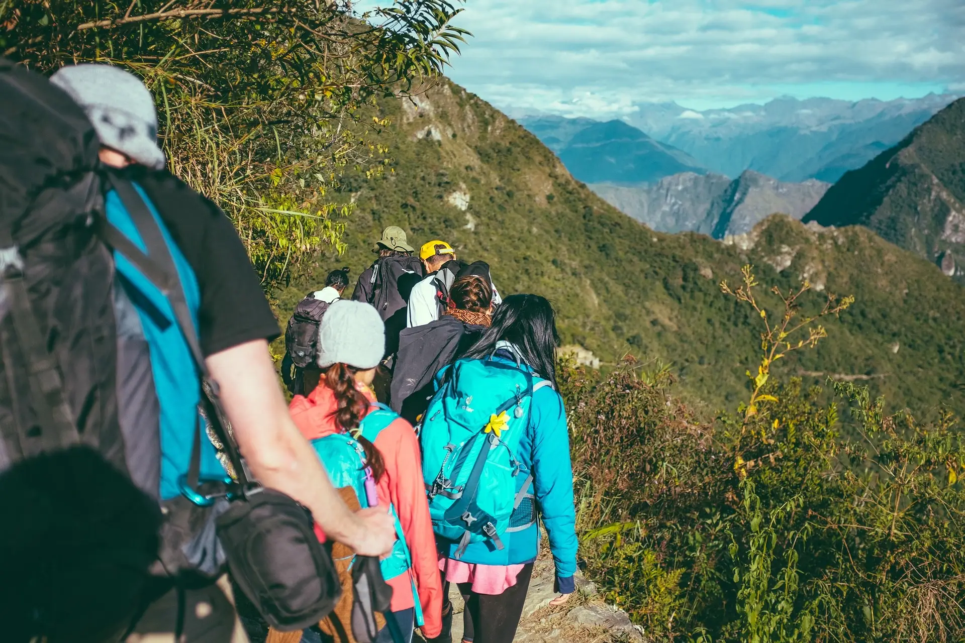 Impact Jobs für Freelancer
