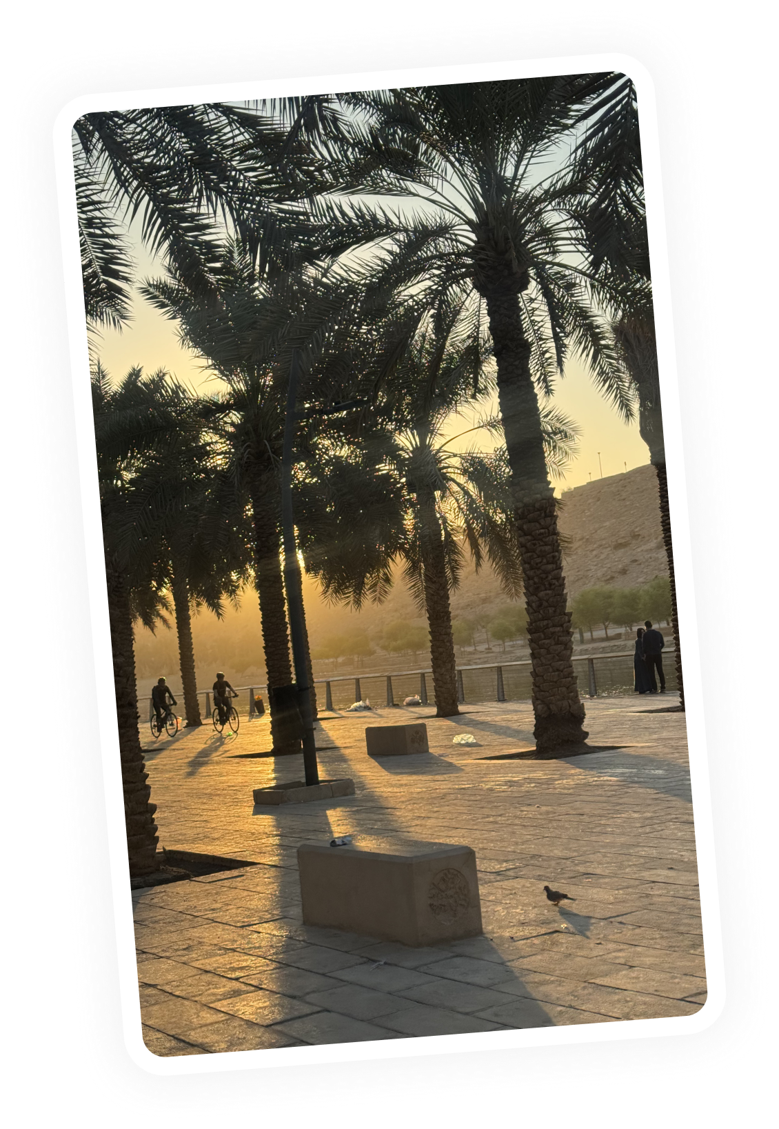 Sunset casting long shadows of palm trees, cyclists, and a walking couple on paved riverside path.