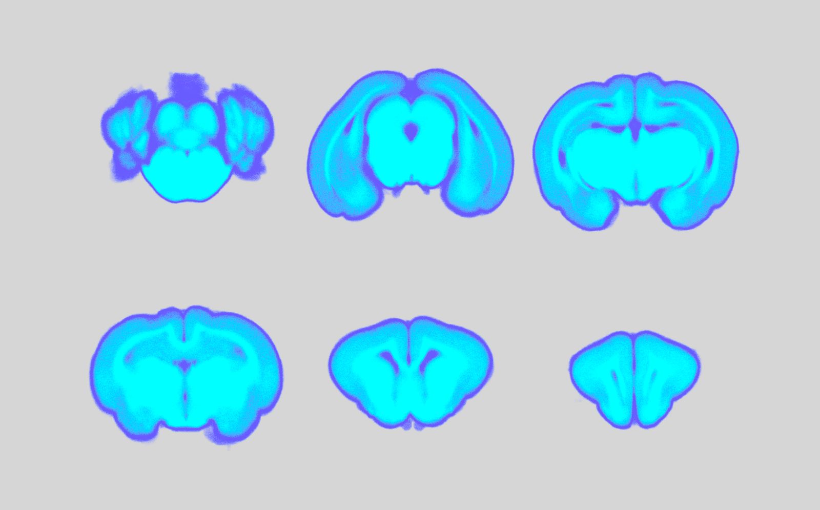 High Sub-Zero Preservation and Revival of a Small Mammal (CRYORAT)