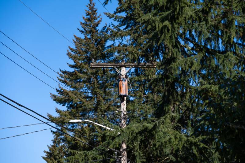 A utility pole with a transformer and power lines among trees.