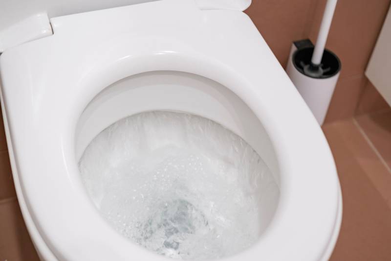 Flushing toilet with plunger nearby.
