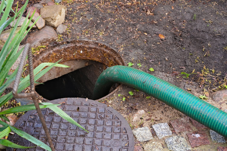 Green hose in open septic tank.