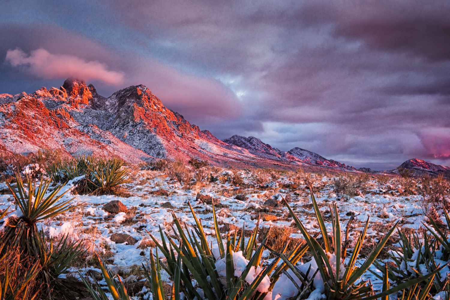 Snowy Albuquerque mountains at sunset.