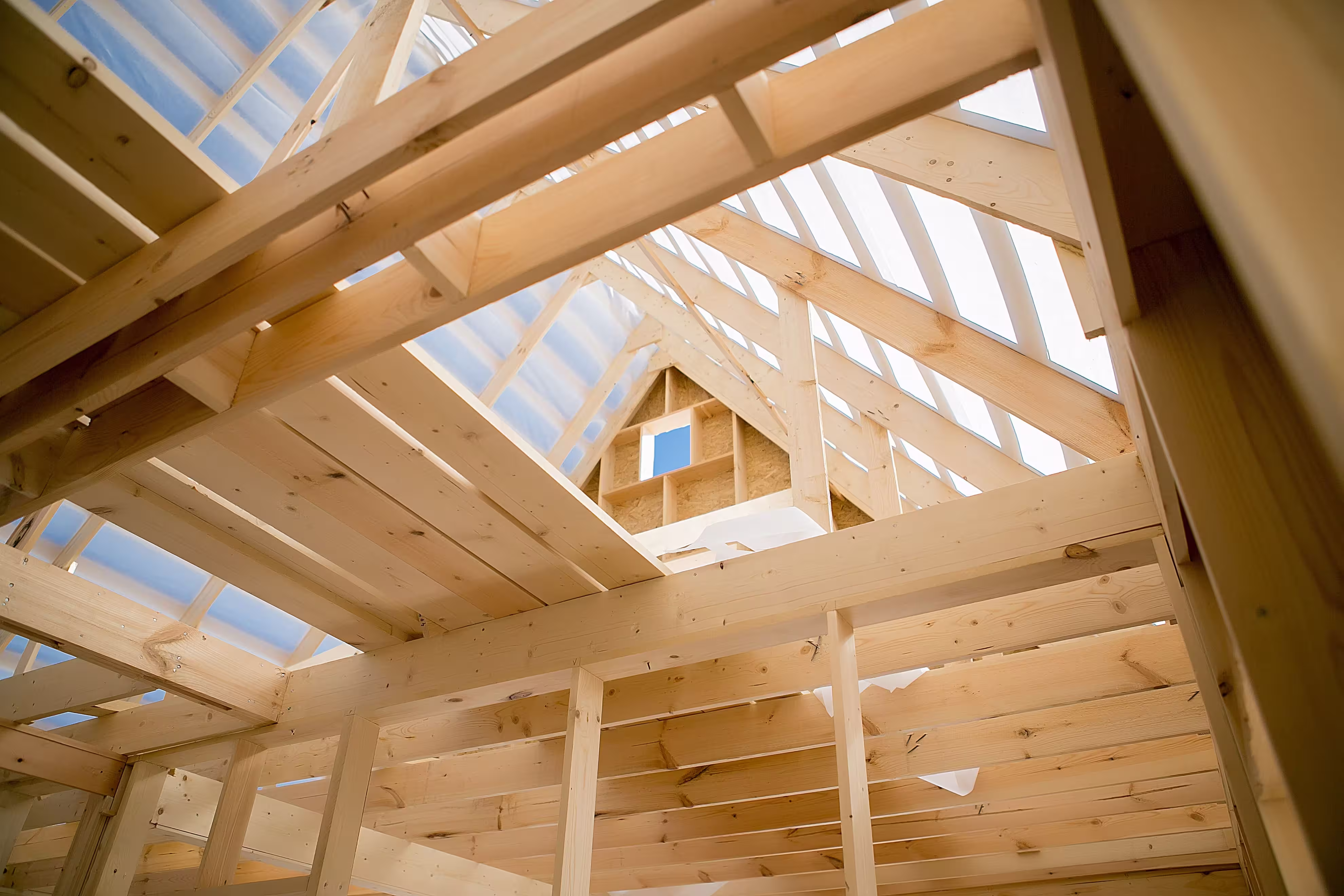 Hausbau in Holzbauweise: Kosten, Vorteile und Vergleich zum Massivhaus