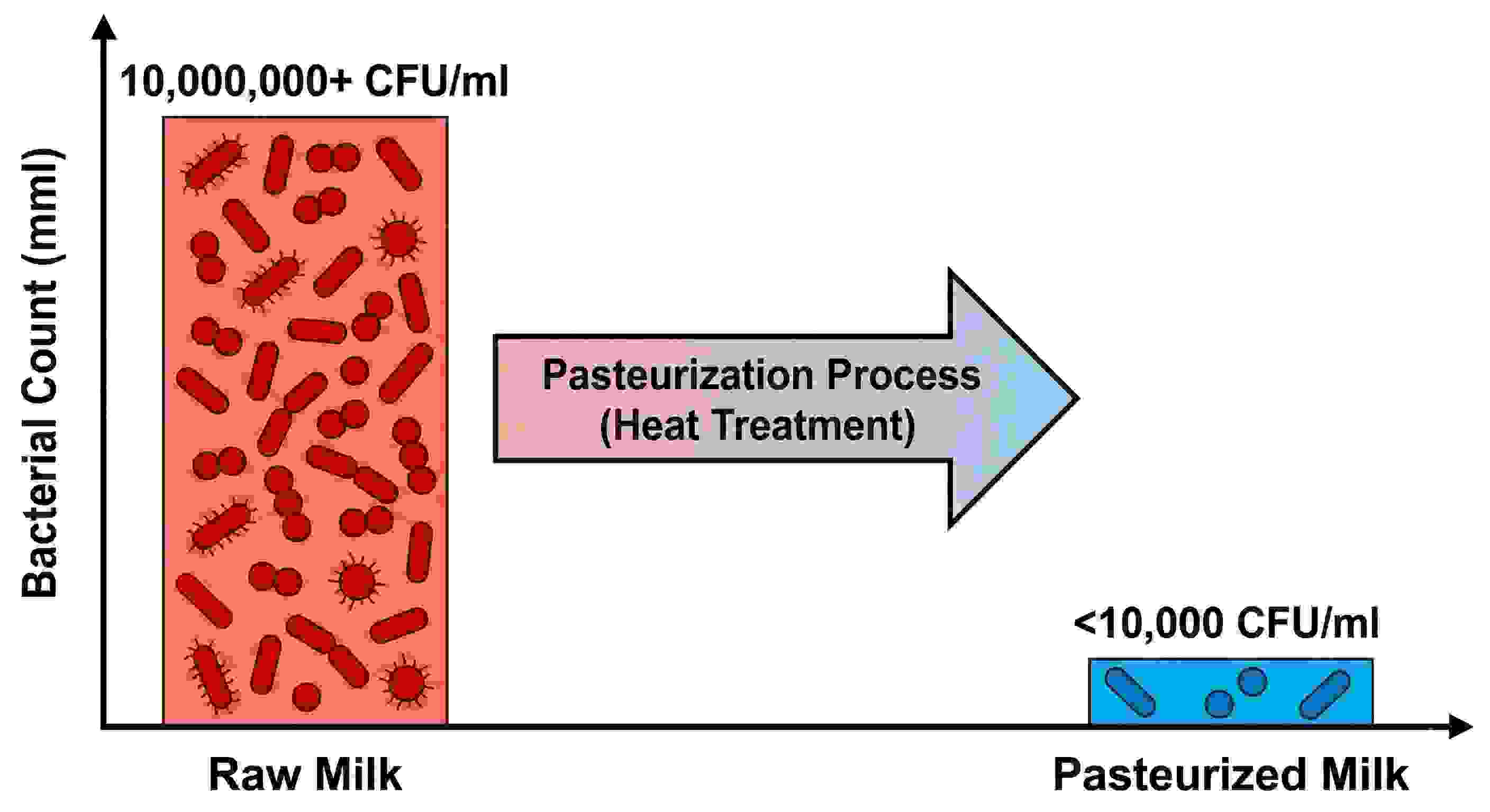 Visual diagram showing before/after pasteurization - bacterial counts