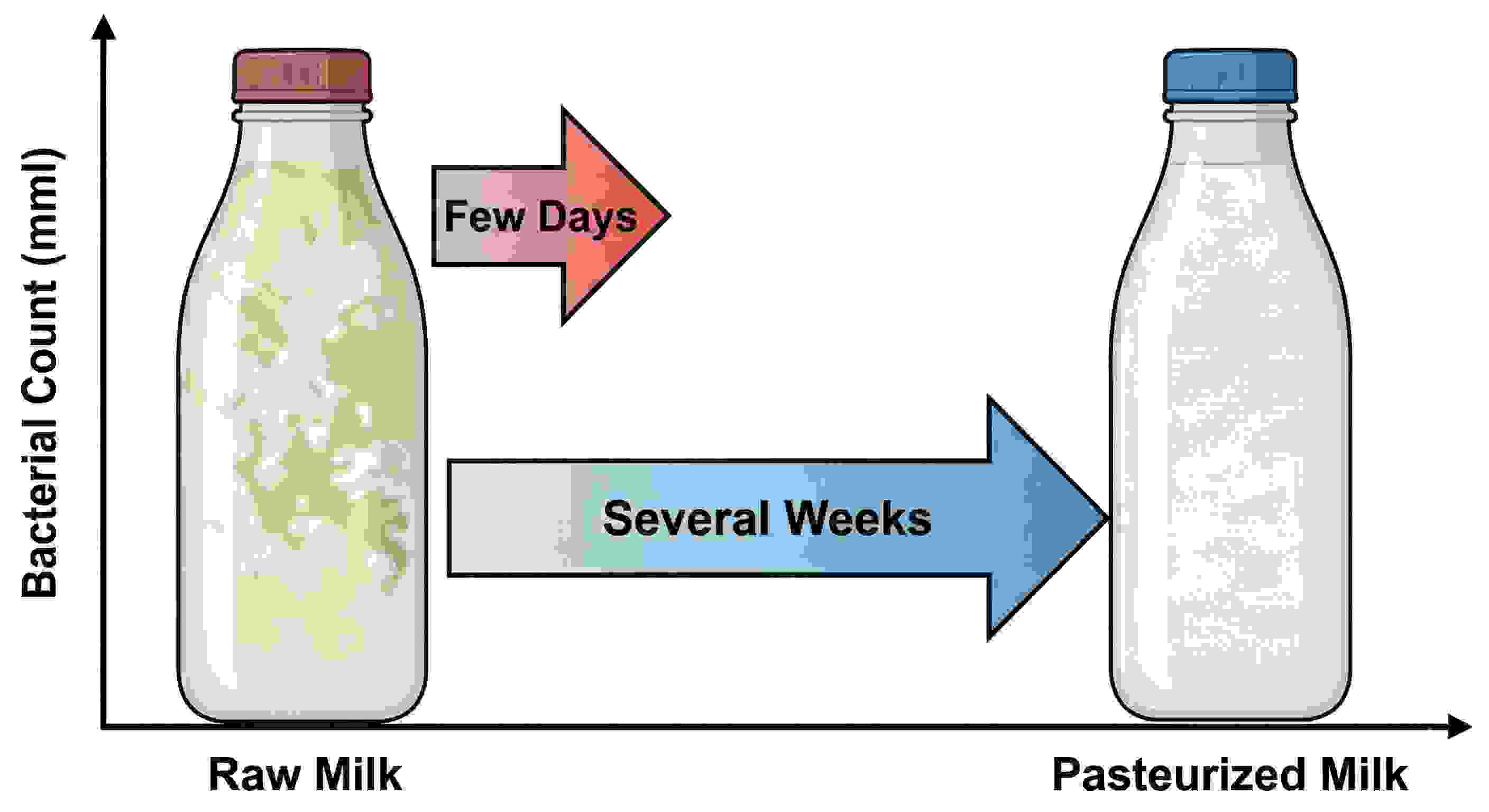 Visual diagram showing before/after pasteurization - shelf life comparison