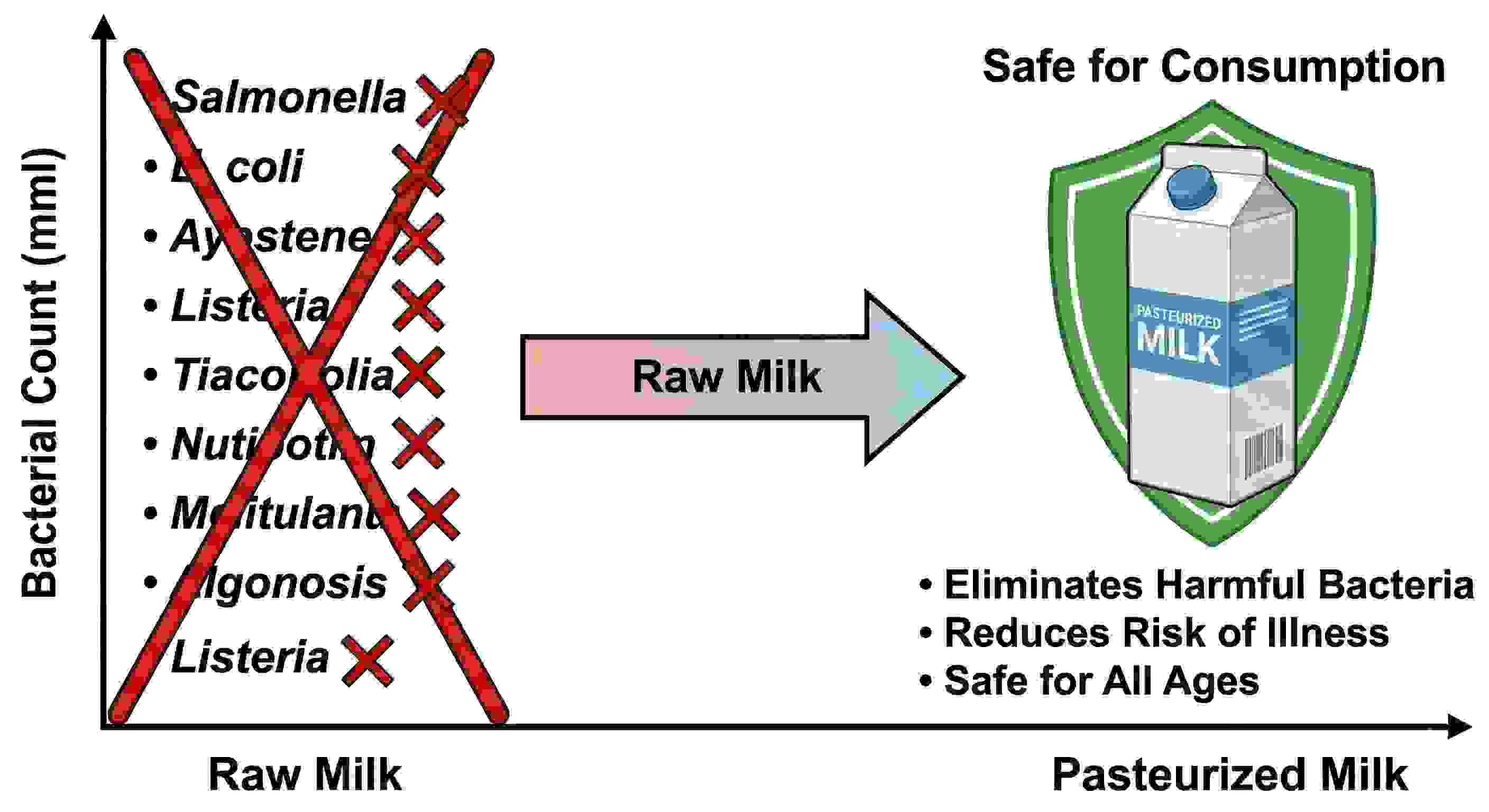 Visual diagram showing before/after pasteurization - safety benefits