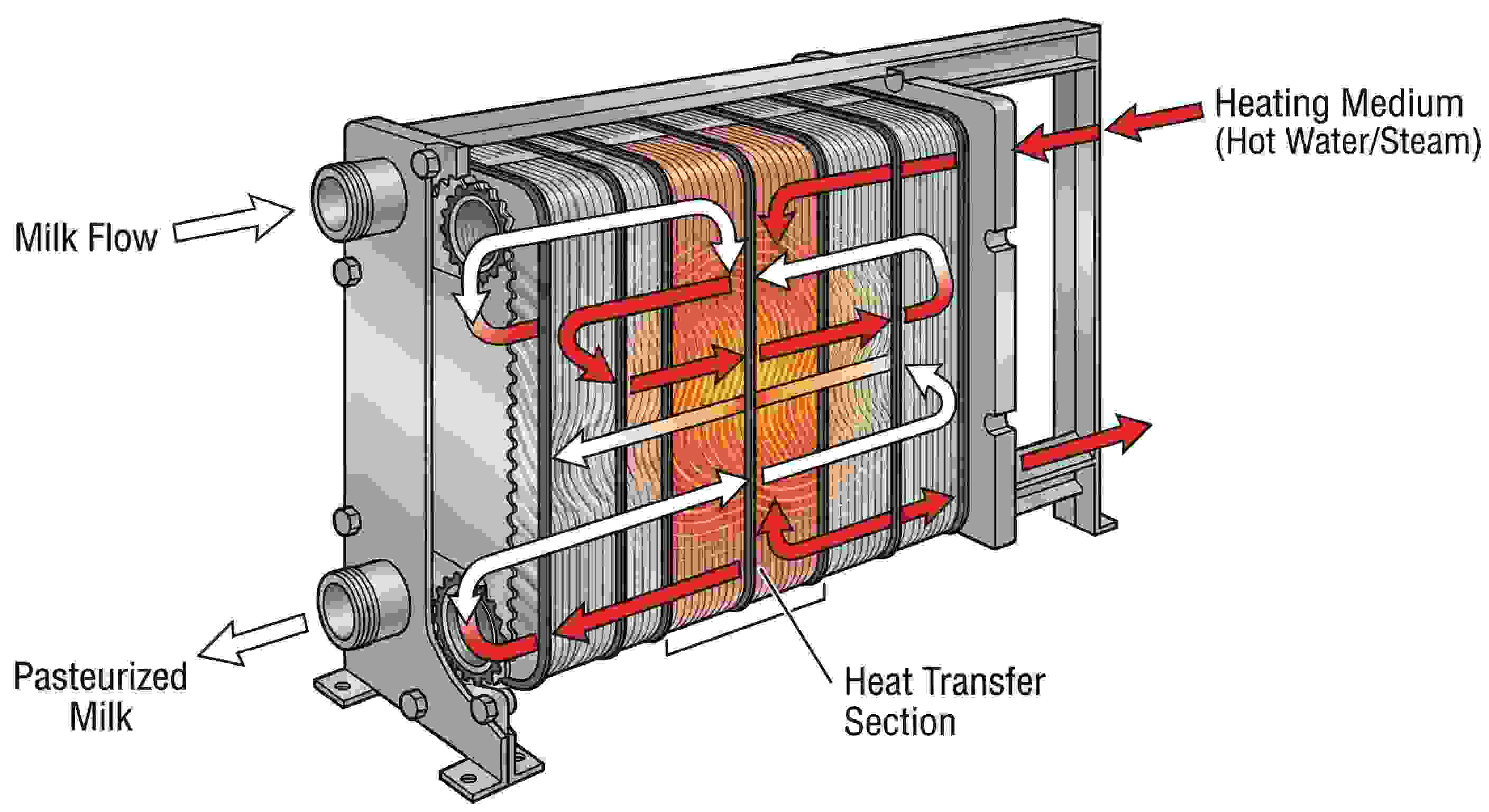 Plate heat exchanger cutaway diagram showing milk flow paths and heat transfer sections