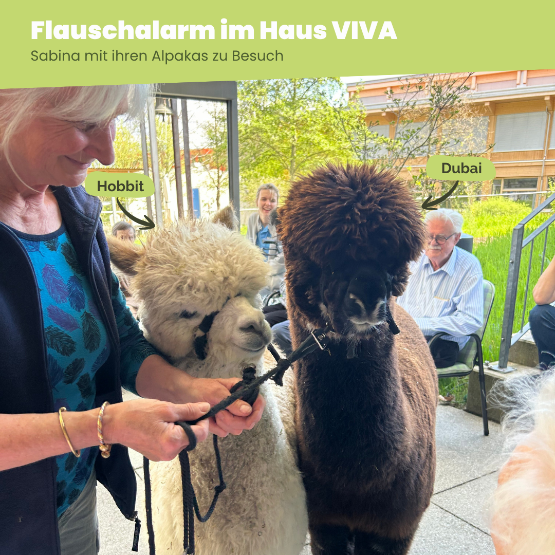 thumbnail of the news article