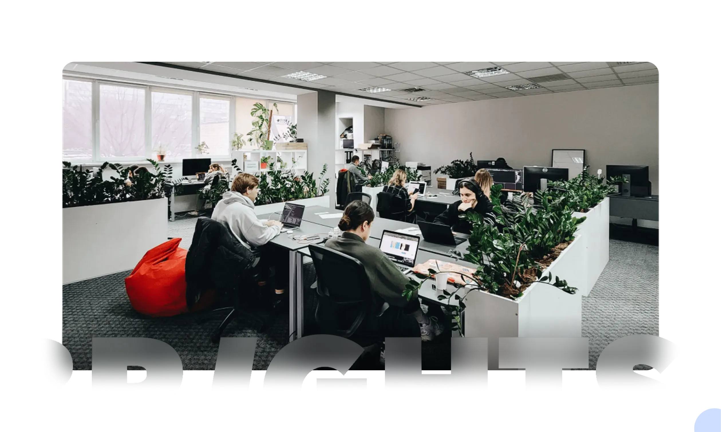 A vibrant office space with employees working at desks 