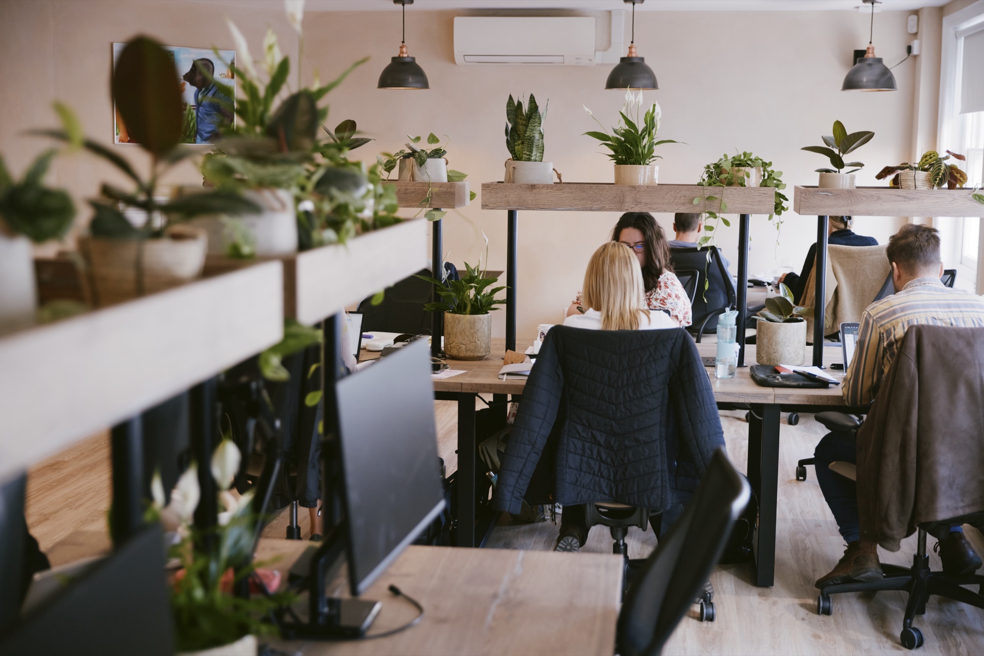 The bright coworking floor at Drop-in Richmond, with plants and monitors, TW9