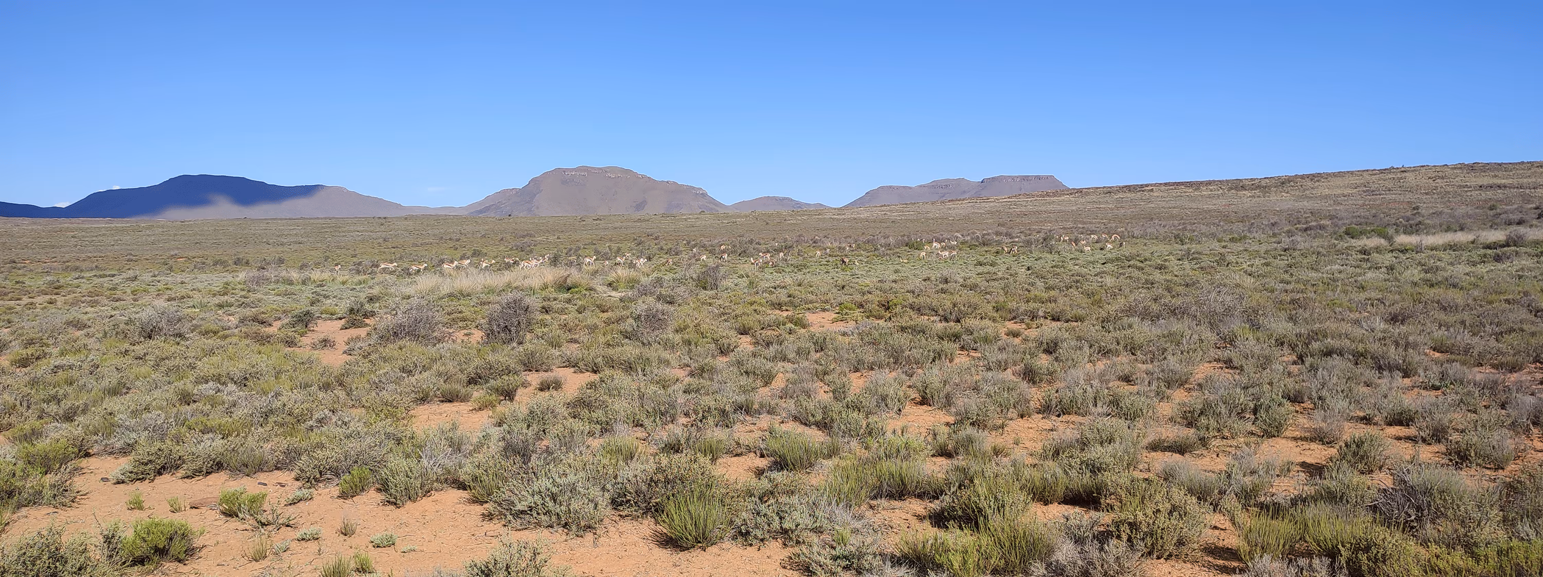 The location of the future Umsinde Emoyeni wind farm, near the border between the Western Cape and Northern Cape Provinces in South Africa