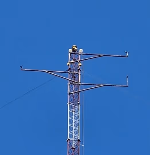 met mast