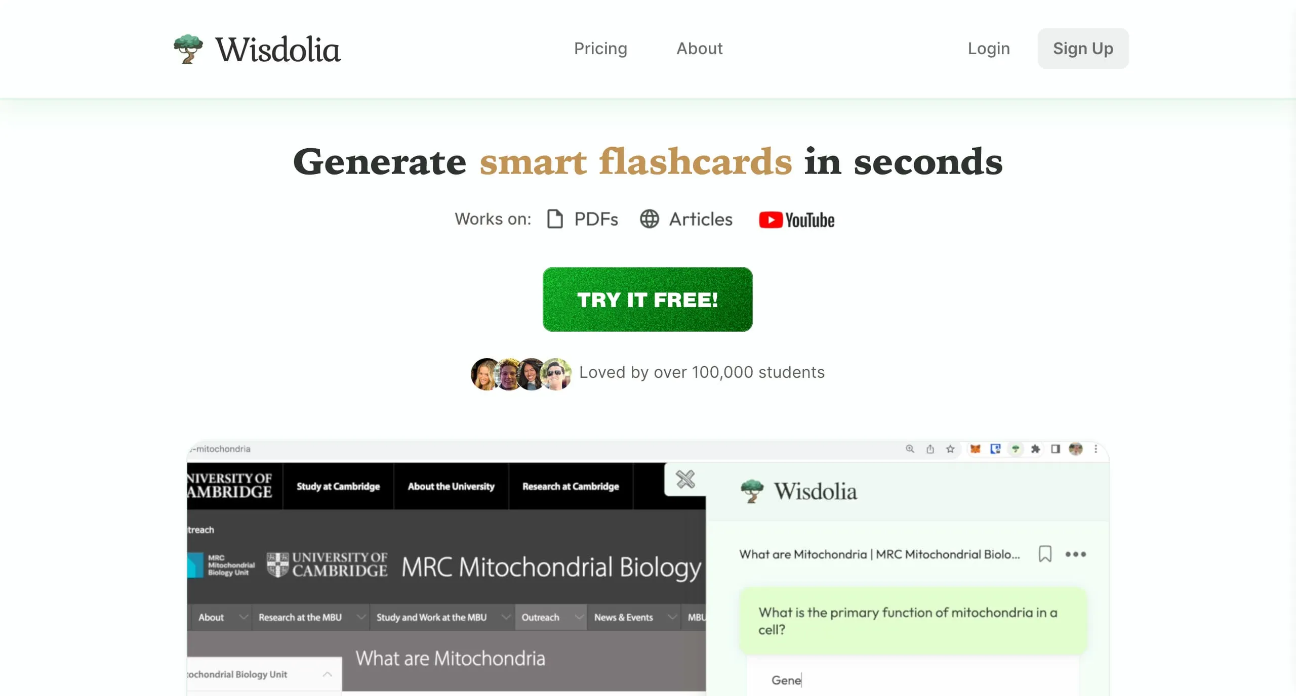 site internet wisdolia