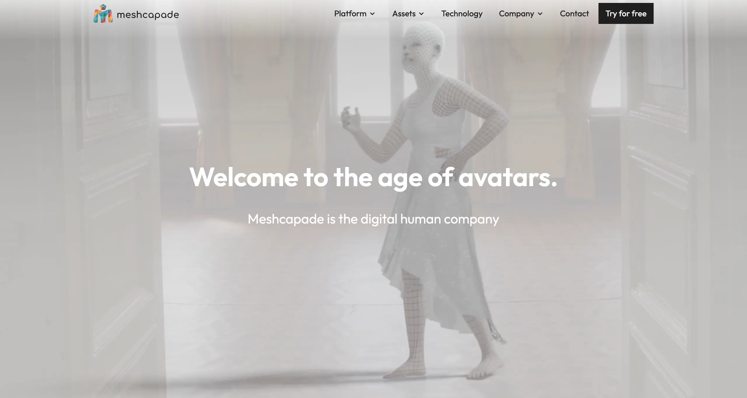 Site internet Meshcapade