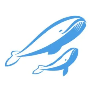 WhaleSync