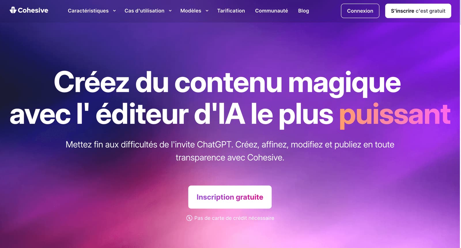 Site internet de l'IA Cohesive
