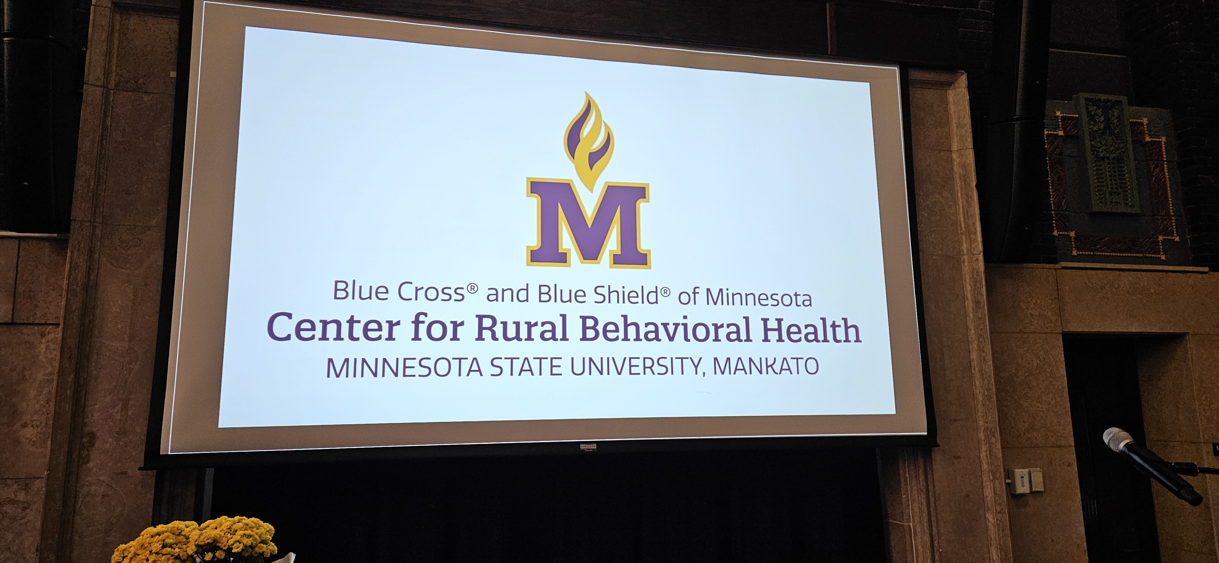 Display screen behind the stadium