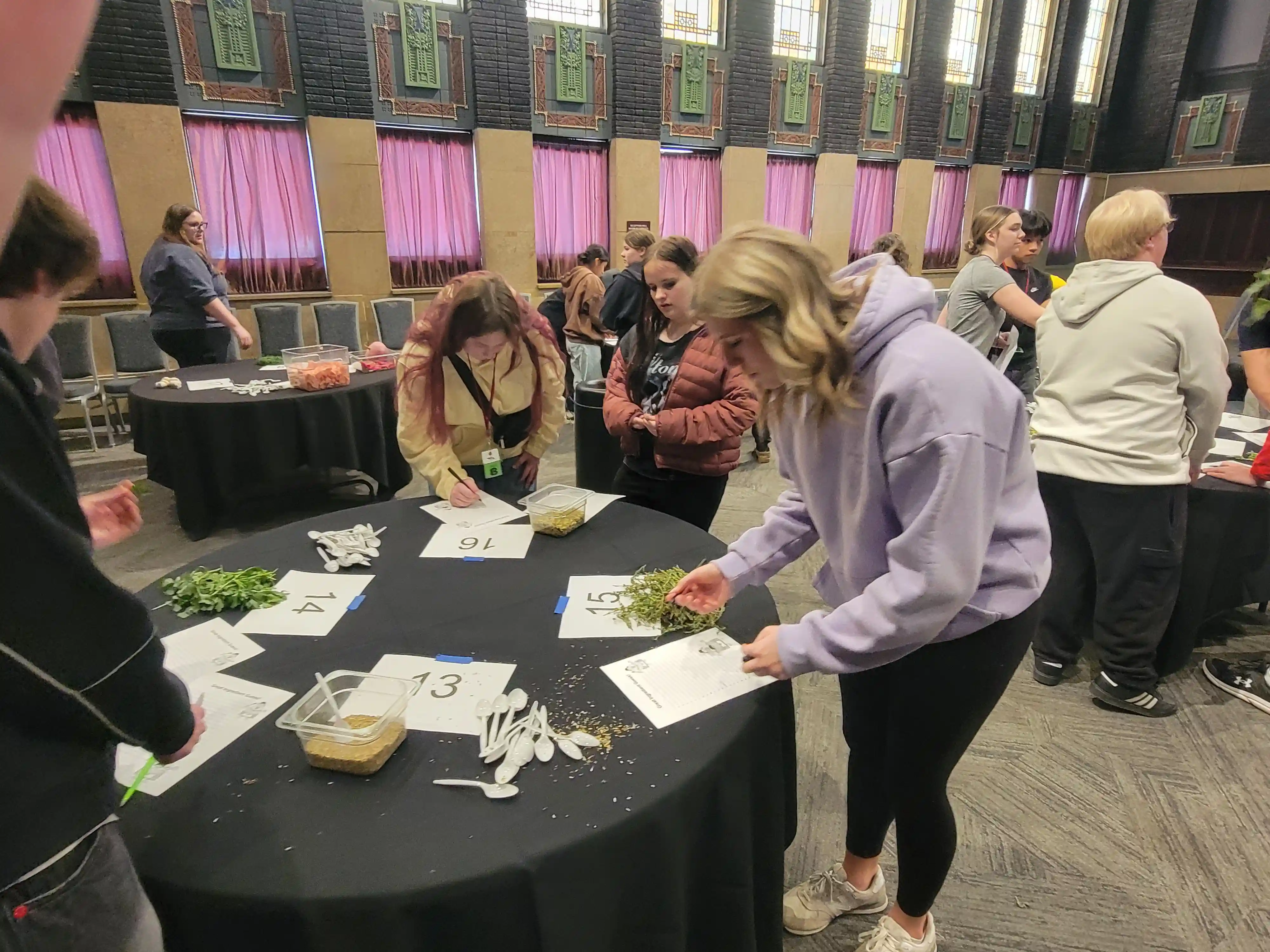 students working at tables on paperwork