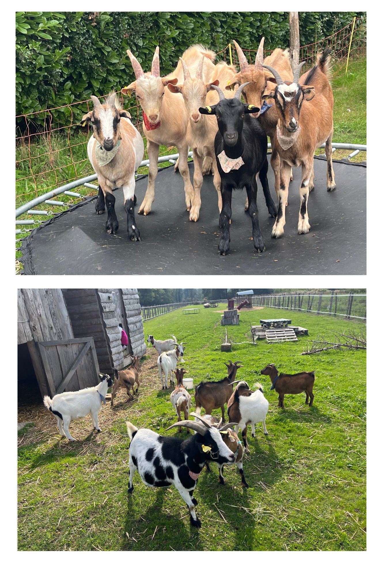 location lieu therapeute isere