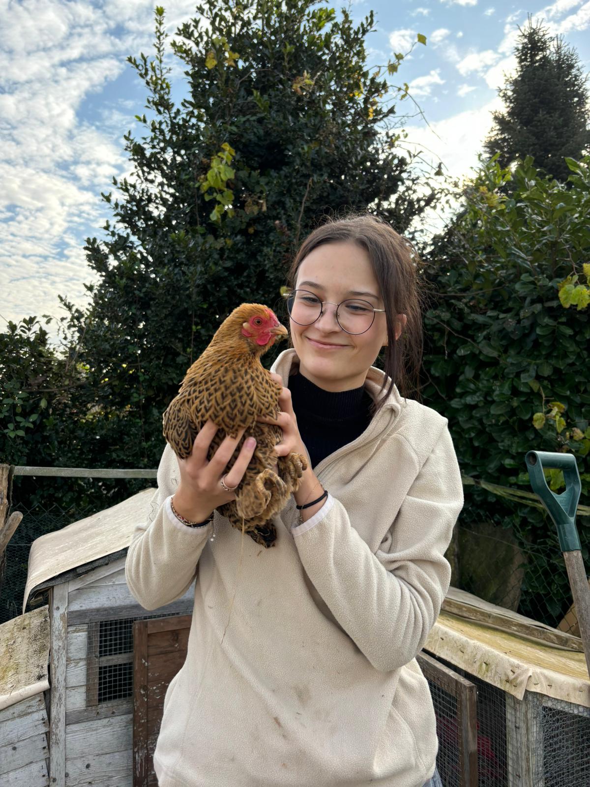 zoothérapie particulier