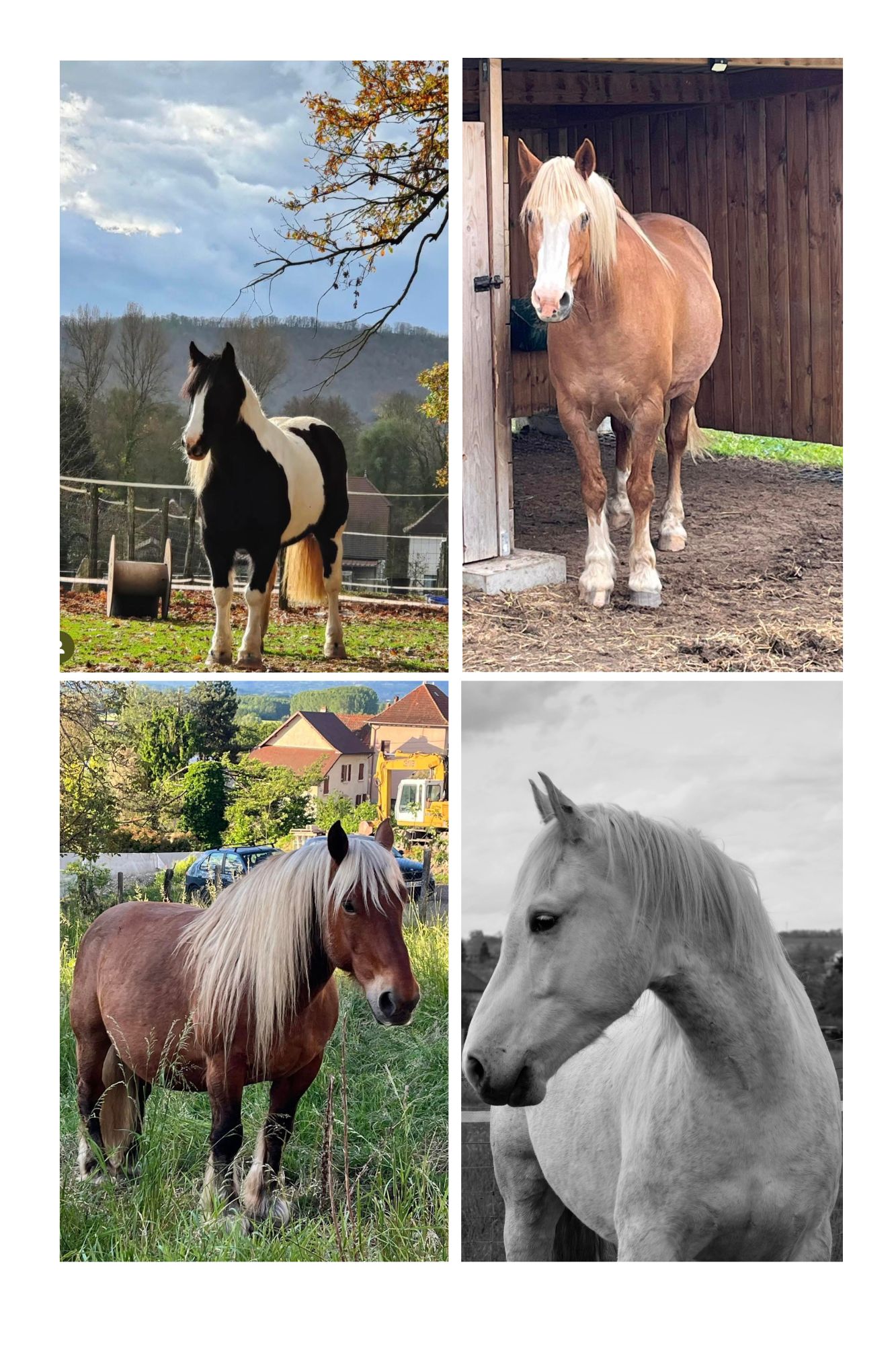 mise a dispo ferme isere