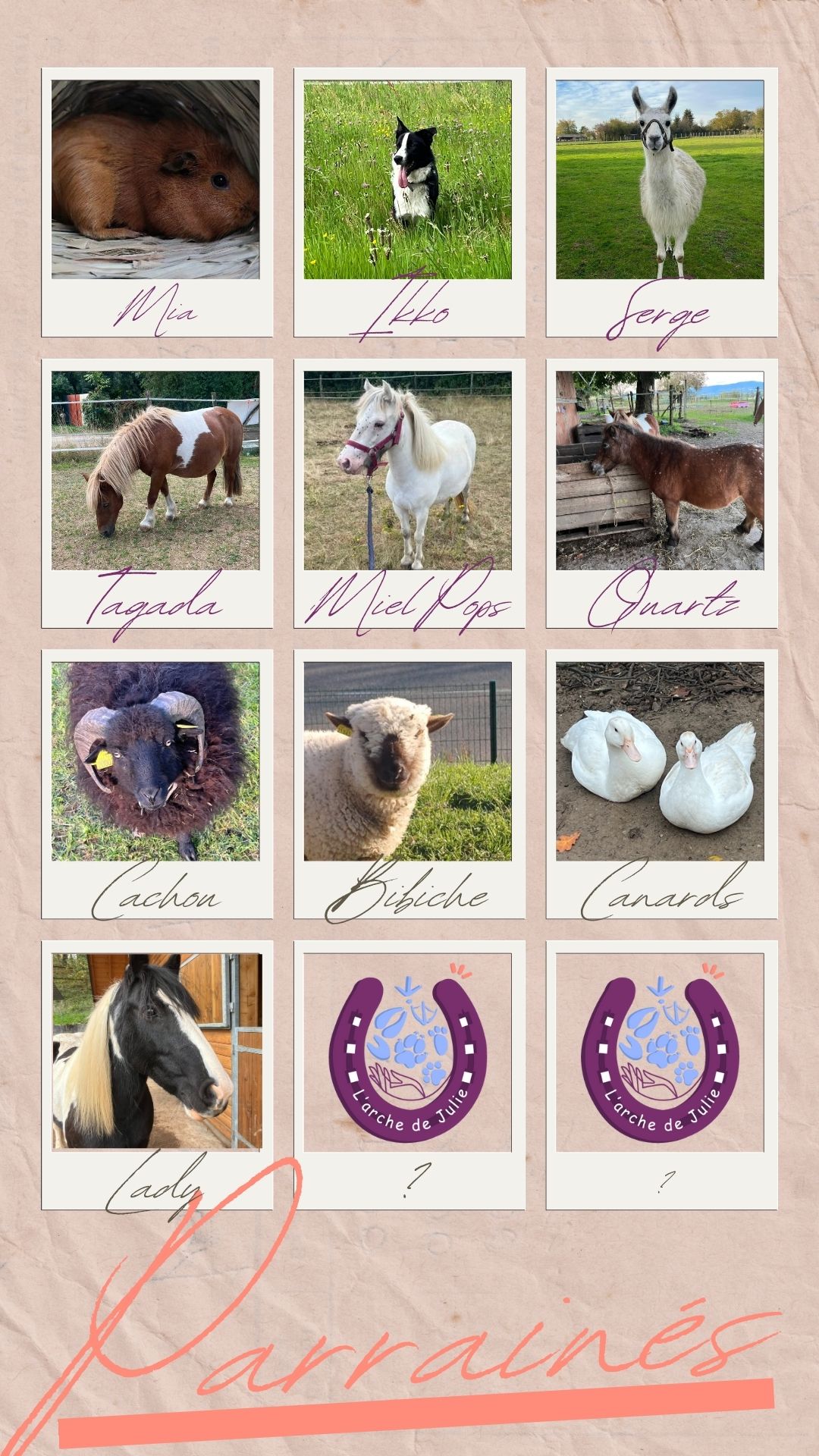 parrainage animal isere