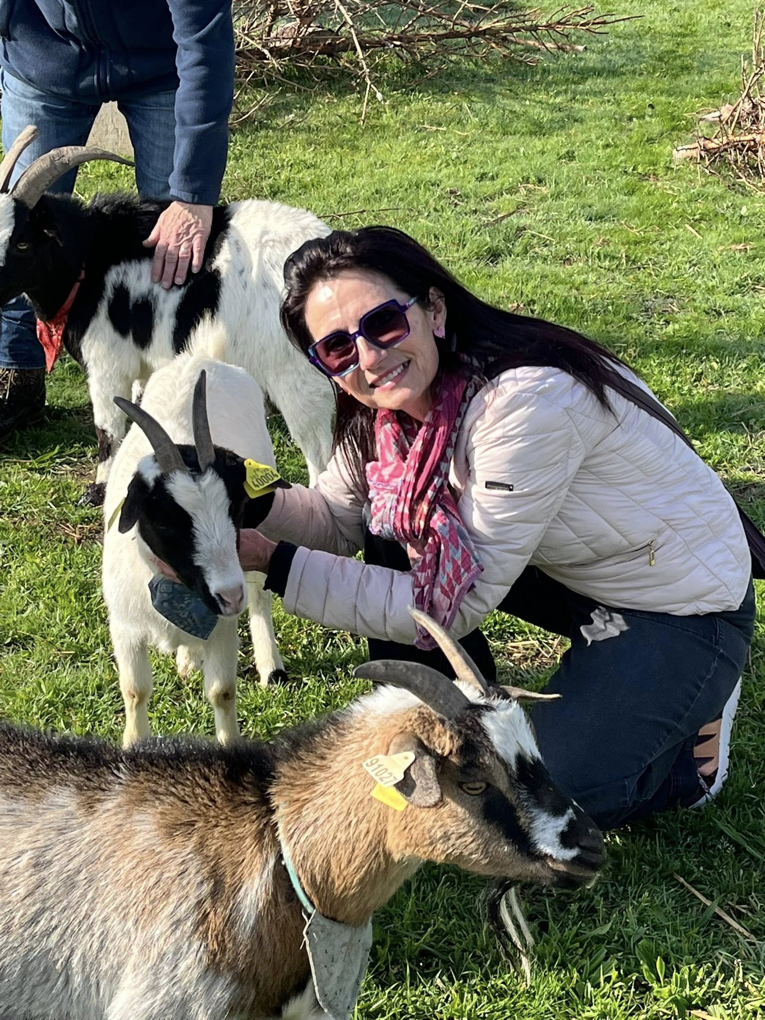 parrainage animal isere