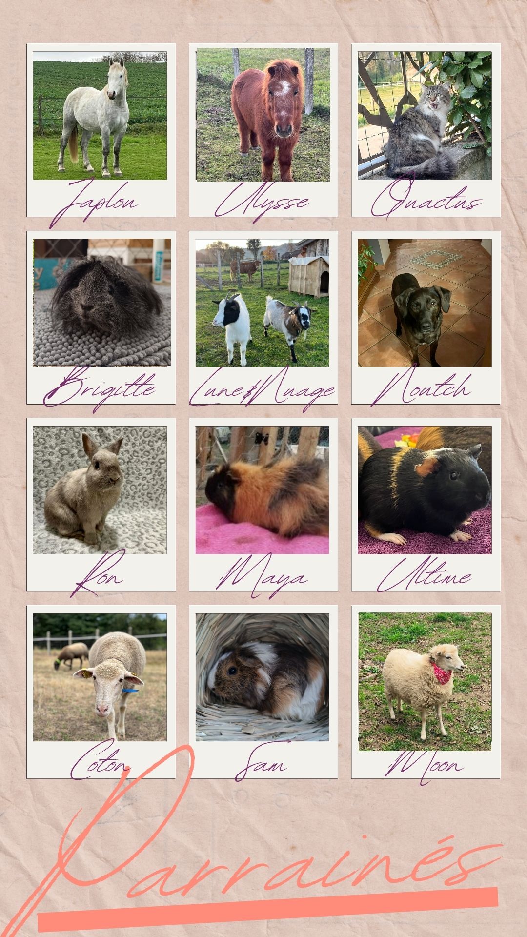 parrainage animal isere