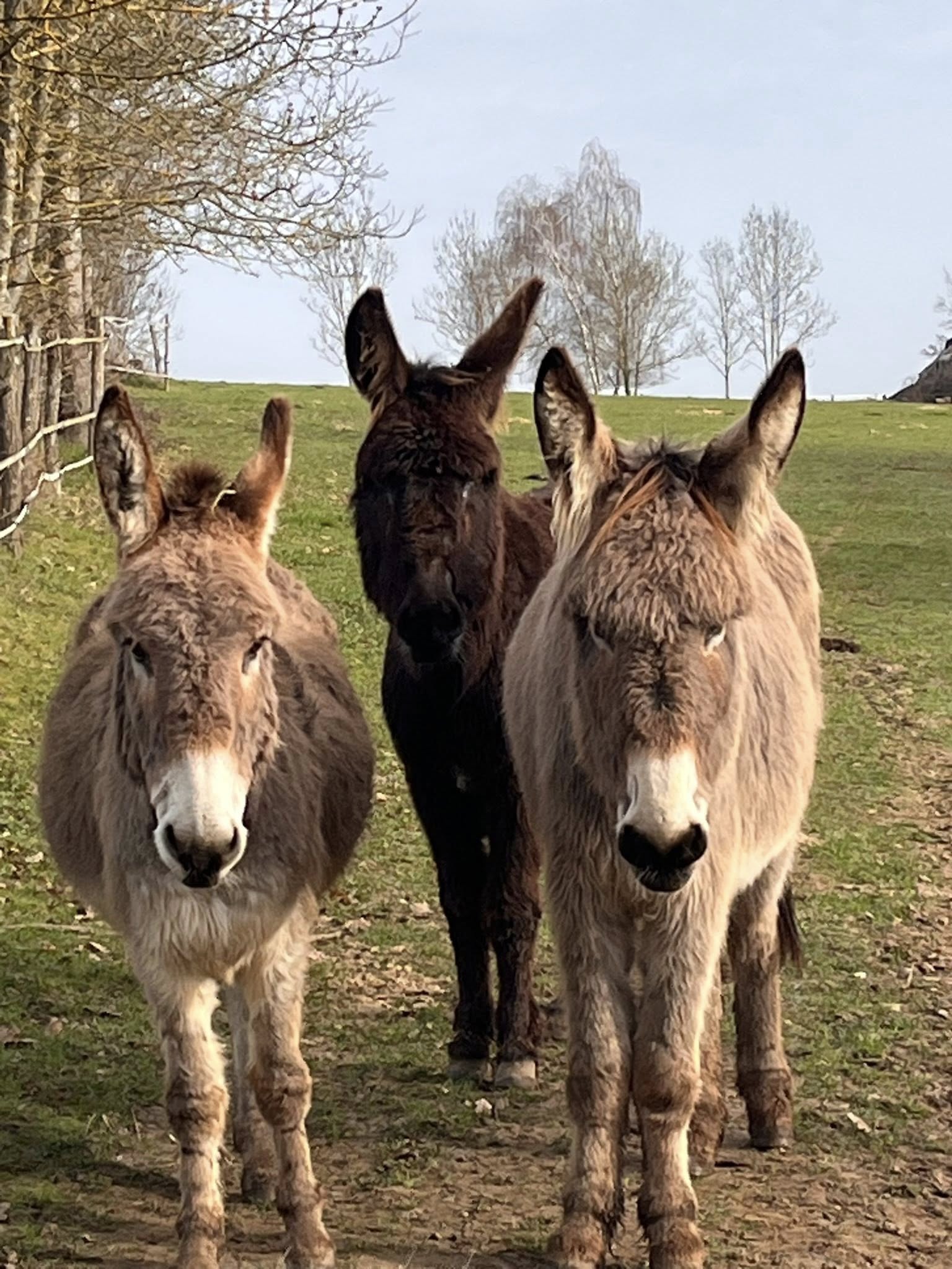 mise a dispo ferme isere