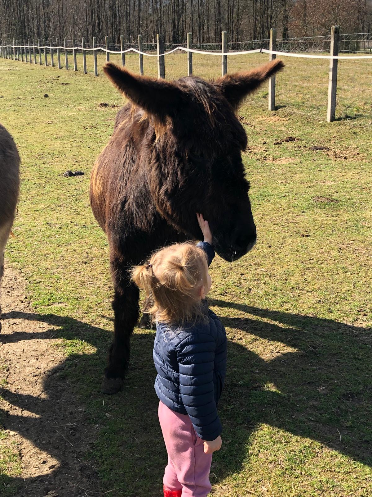 visite ferme associative isere