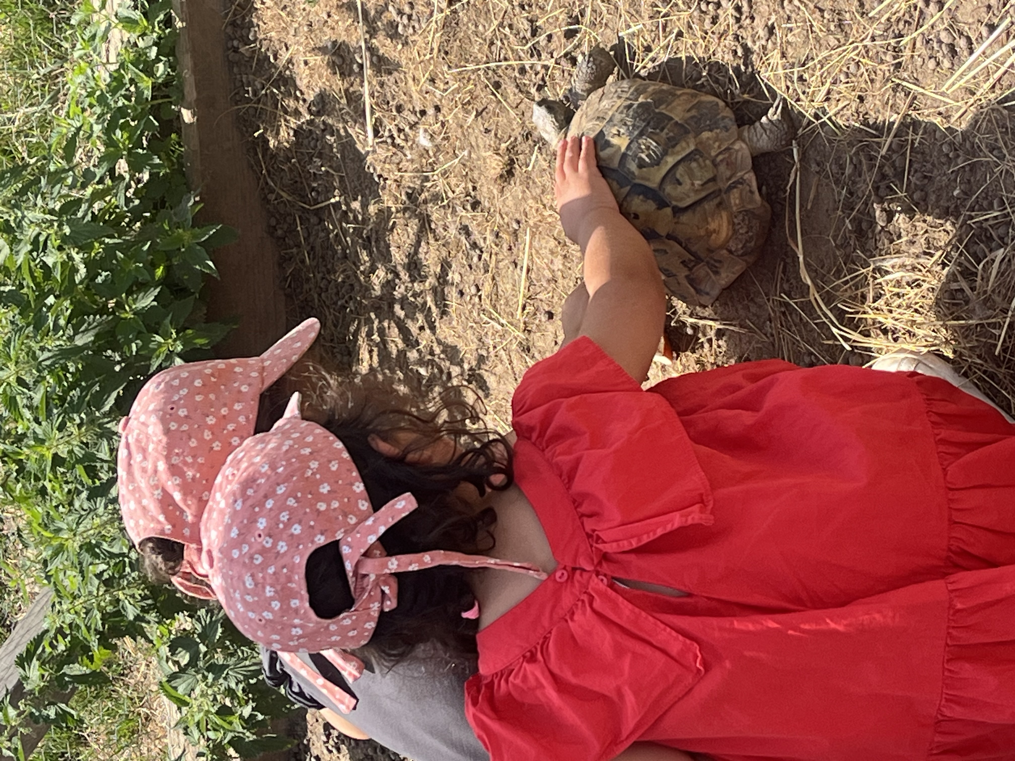 visite ferme associative isere