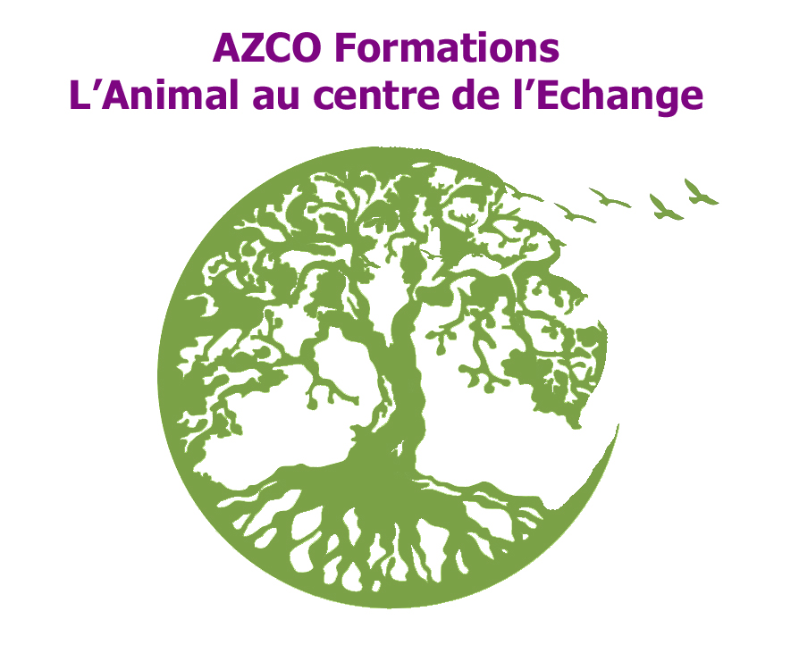 facebook arche de julie ferme zootherapie isere