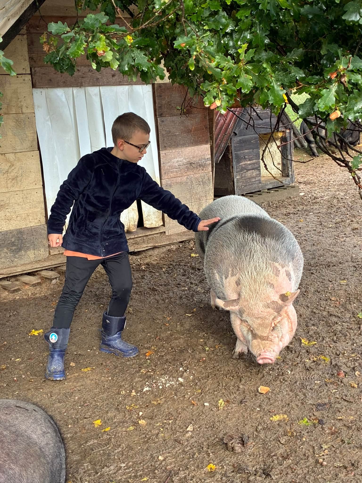 visite ferme associative isere