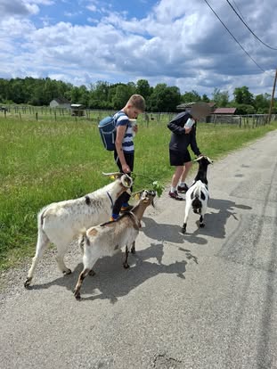 visite ferme pedagogique isere