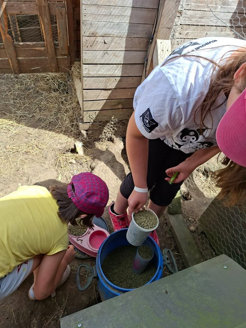 visite ferme pedagogique isere
