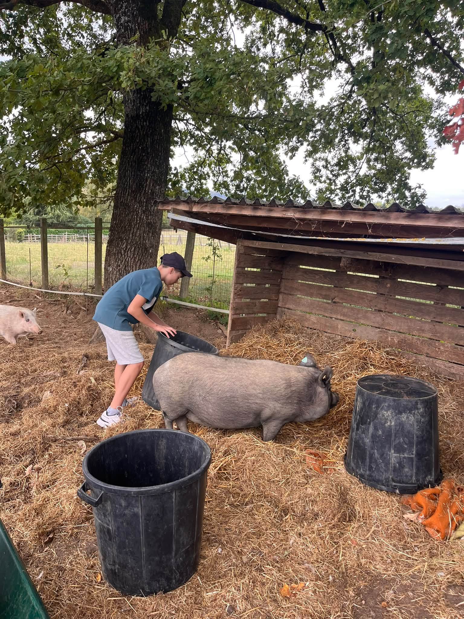 visite ferme associative isere
