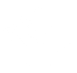 Service Icon