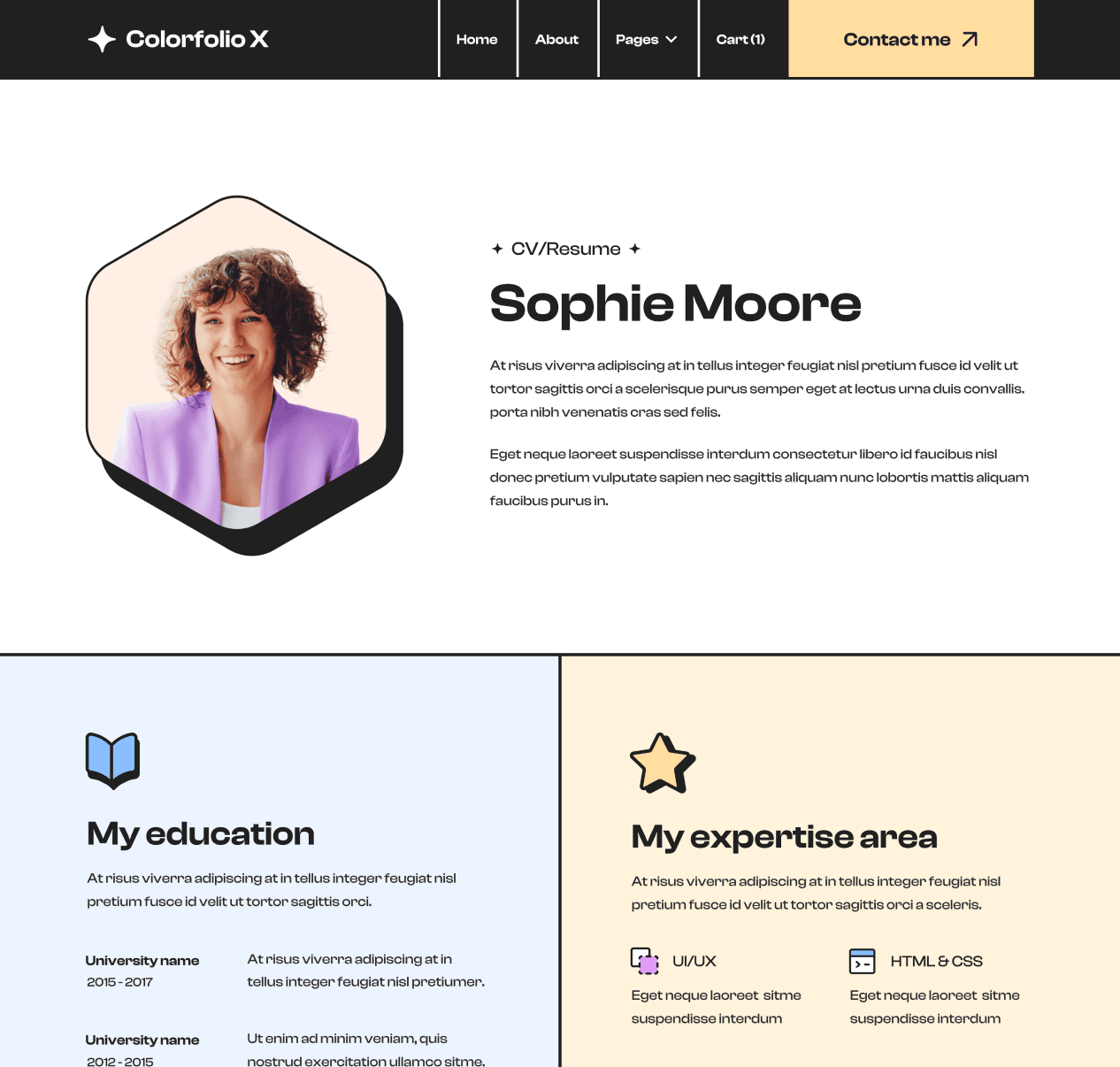 CV Top Image - Colorfolio X Webflow Template