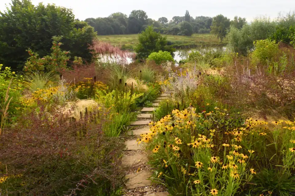 Naturgarten anlegen lassen 