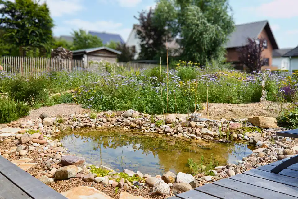 Naturgarten anlegen lassen 