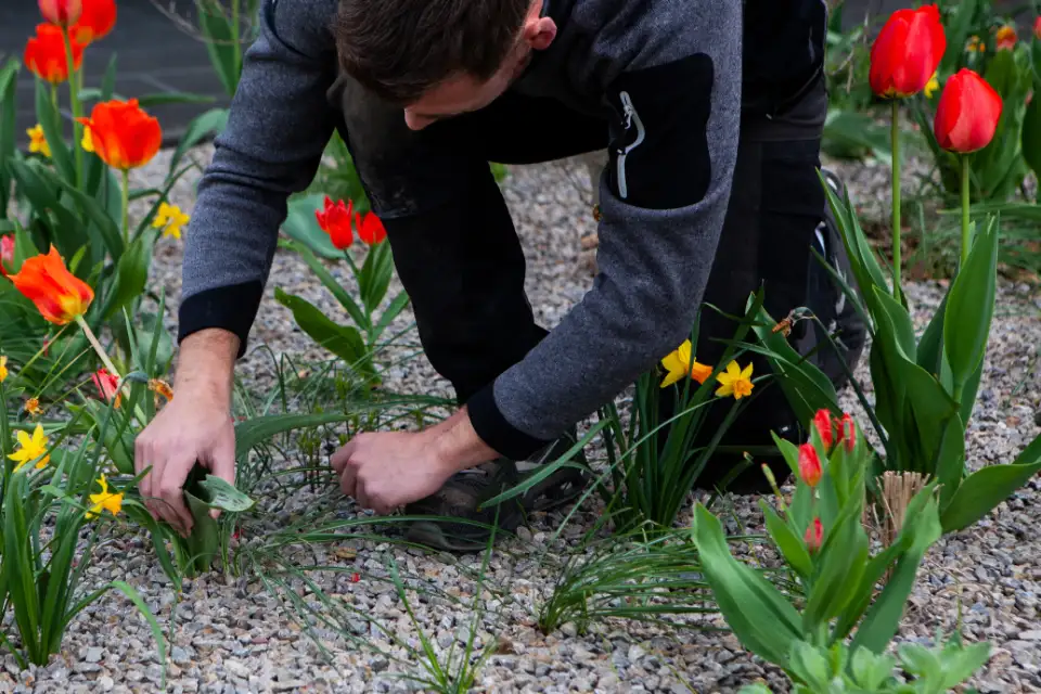 Garten pflegen lassen in Minden-Lübbecke